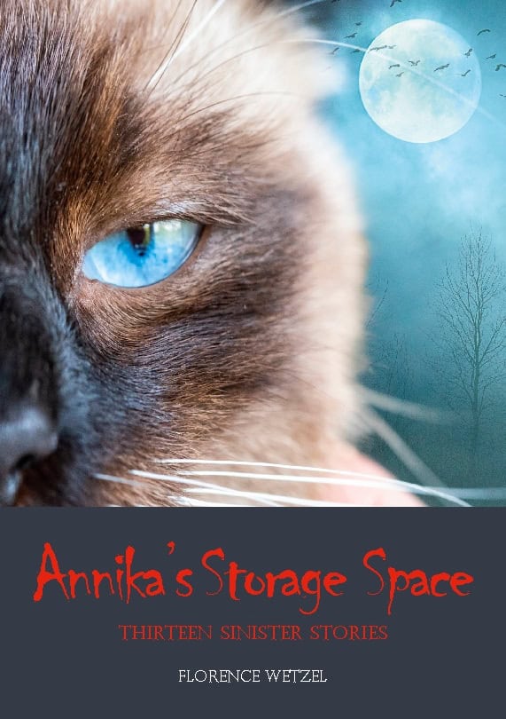 Wetzel, Florence | Annika's storage space : Thirteen sinister stories