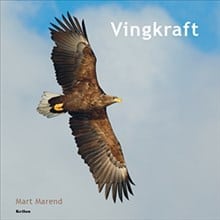 Marend, Mart | Vingkraft