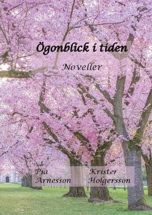 Arnesson, Pia | Holgersson, Krister | Ögonblick i tiden : Noveller