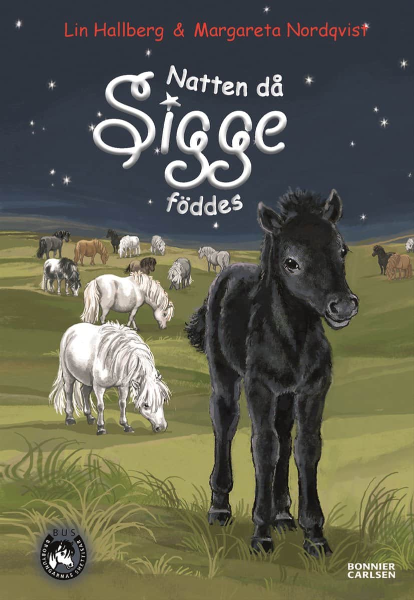 Hallberg, Lin | Natten då Sigge föddes