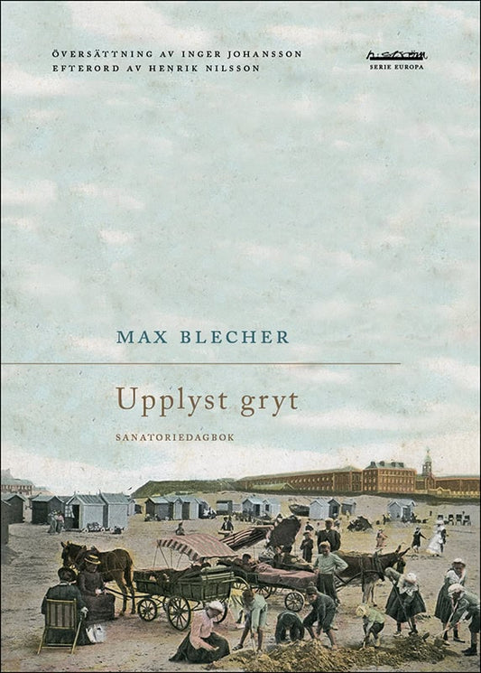 Blecher, Max | Upplyst gryt : Sanatoriedagbok