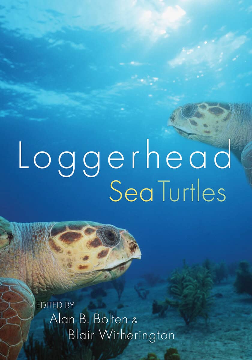 Alan B. Bolten & Blair Witherington | Loggerhead Sea Turtles