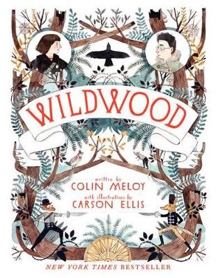 Meloy, Colin | Wildwood