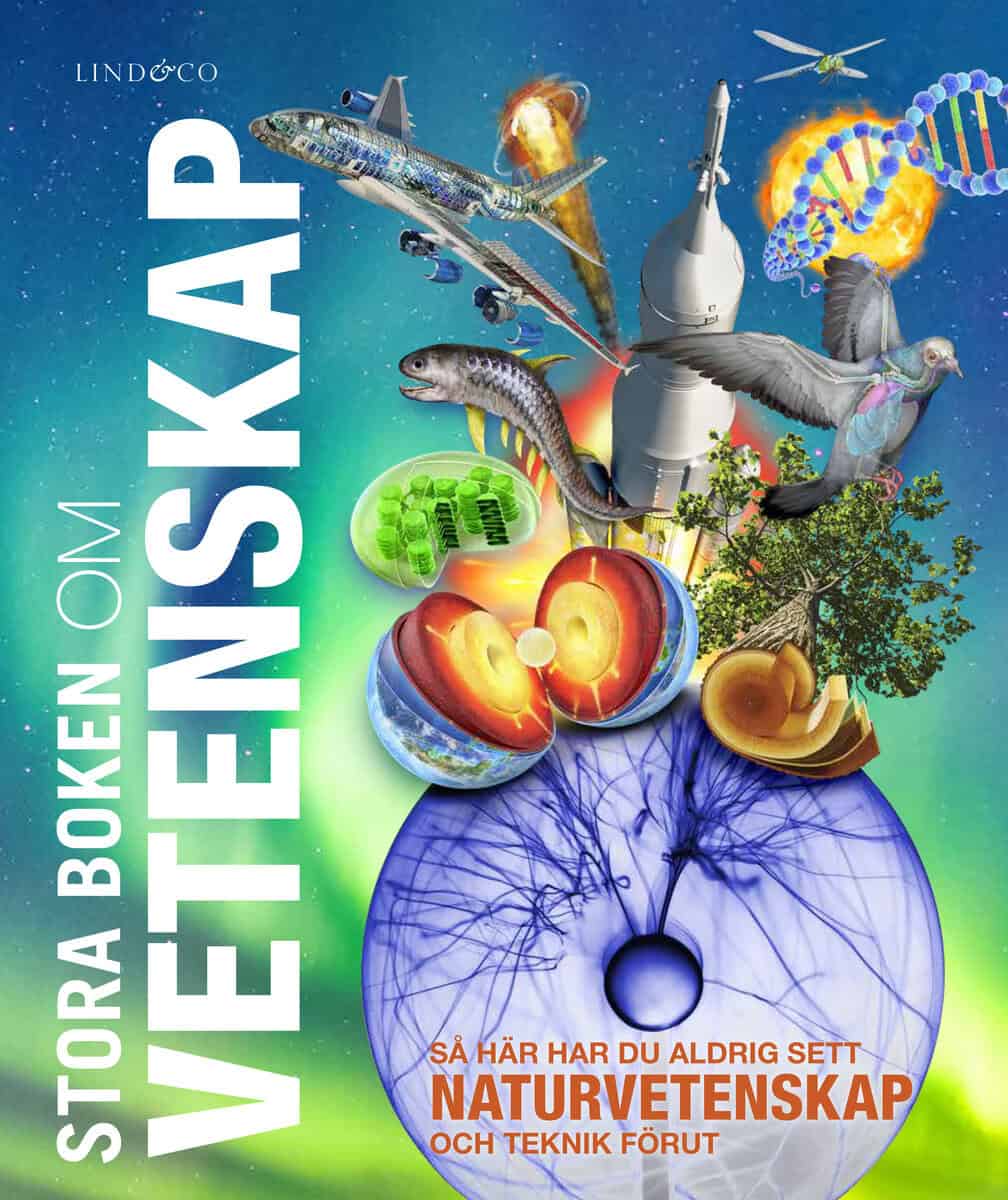 Beall, Abigail | Challoner, Jack | Dingle, Adrian | Harvey, Derek | Perks, Bea | Stora boken om vetenskap : Så här har d...