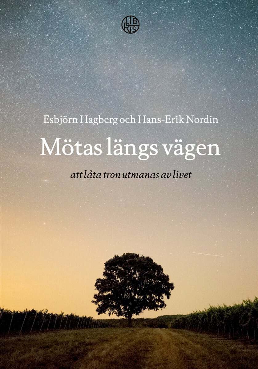 Hagberg, Esbjörn | Nordin, Hans-Erik | Mötas längs vägen : Att låta tron utmanas av livet