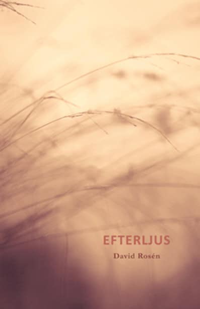Rosén, David | Efterljus