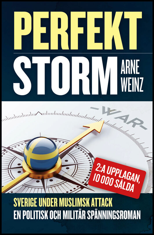 Weinz, Arne | Perfekt storm