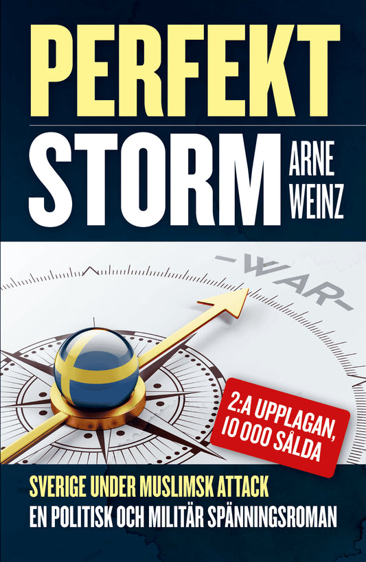 Weinz, Arne | Perfekt storm