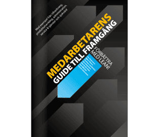 Petersson, Per | Olsson, Björn | Lundström, Thomas | Johansson, Ola | Broman, Martin | Blücher, Dan | Alsterman, Henric ...