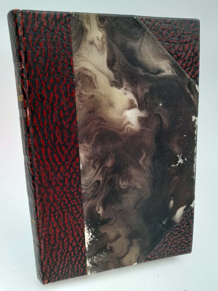 Meijer-Granqvist, Paul | Carl Gustavs livknekt : Historisk roman från Sveriges storhetstid