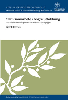 Selander, Lars-Göran | Gitarren som sprängde berg, Om kampen för att bli sedd