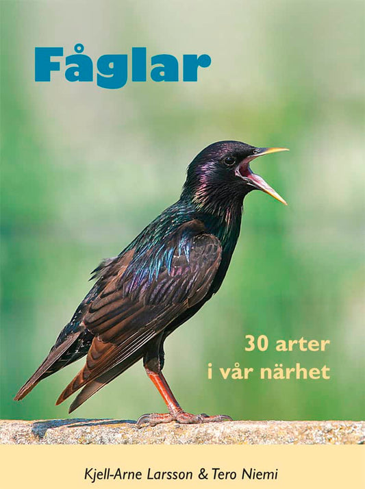Larsson, Kjell-Arne | Fåglar : 30 arter i vår närhet