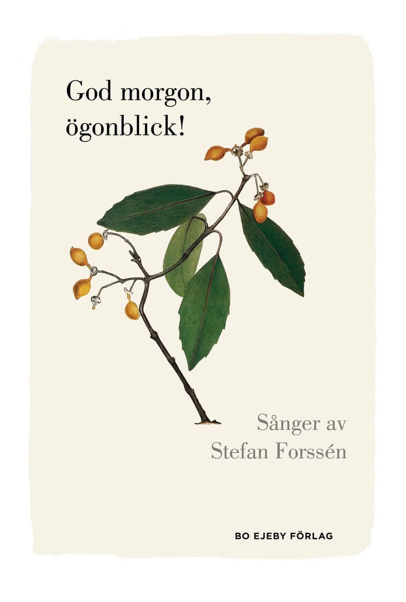 Forssén, Stefan | God morgon, ögonblick!