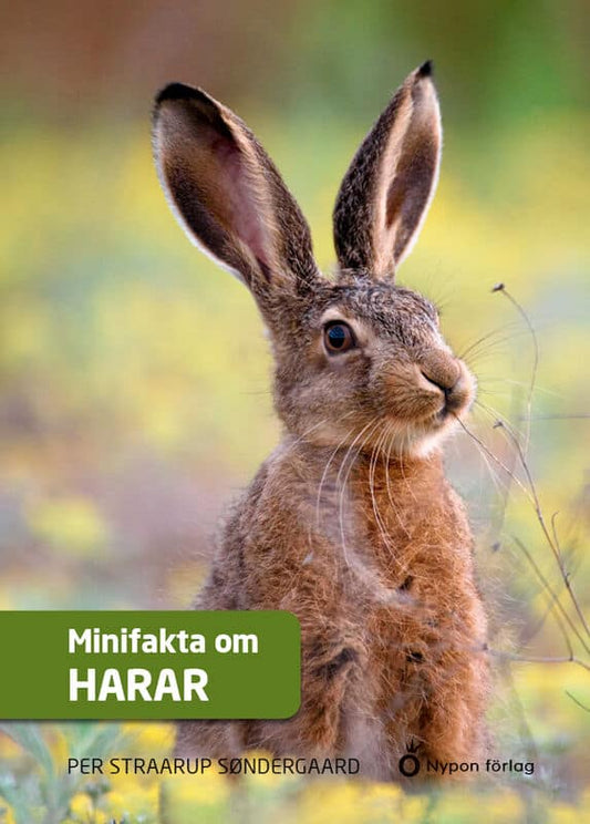 Straarup Søndergaard, Per | Minifakta om harar