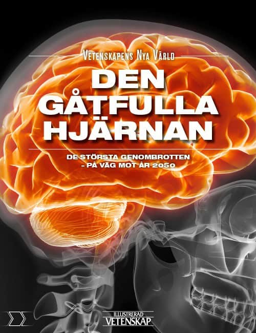 Palmgren, Gorm | Bendix, Henrik | Nielsen, Rolf Haugaard | Nørgaard, Henry | Overgaard, Jakob Boll | Jørgensen, Morten D...