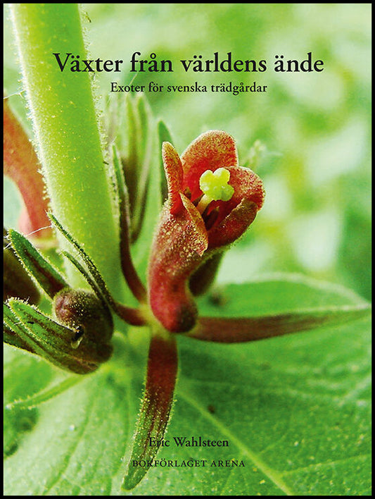 Wahlsteen, Eric | Växter från världens ände : Exoter för svenska trädgårdar