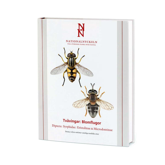Bartsch, Hans | Tvåvingar : Blomflugor. Diptera : syrphidae: eristalinae & microdontinae