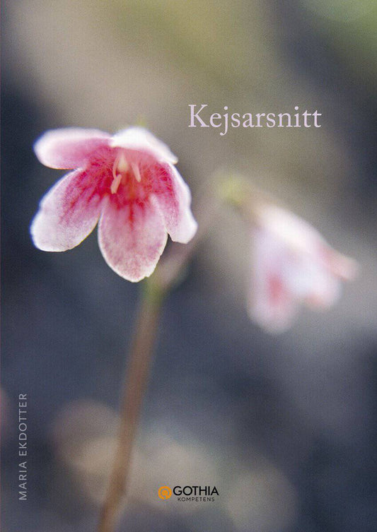 Ekdotter, Maria | Kejsarsnitt