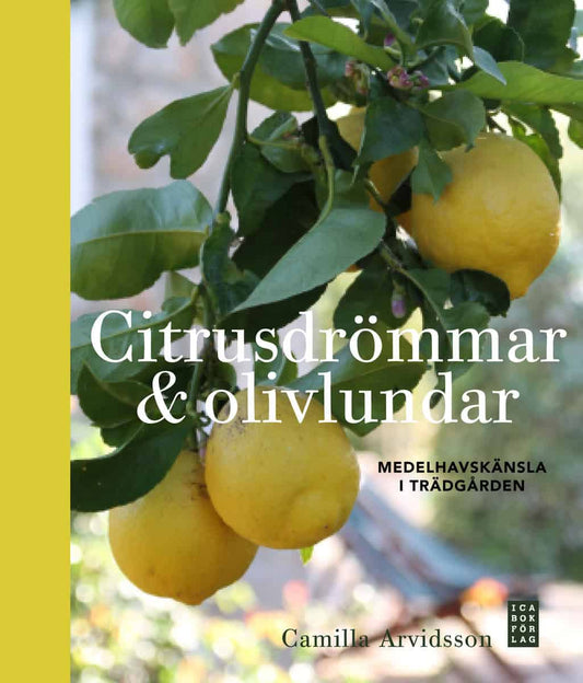 Arvidsson, Camilla | Citrusdrömmar & olivlundar : Medelhavskänsla i trädgården