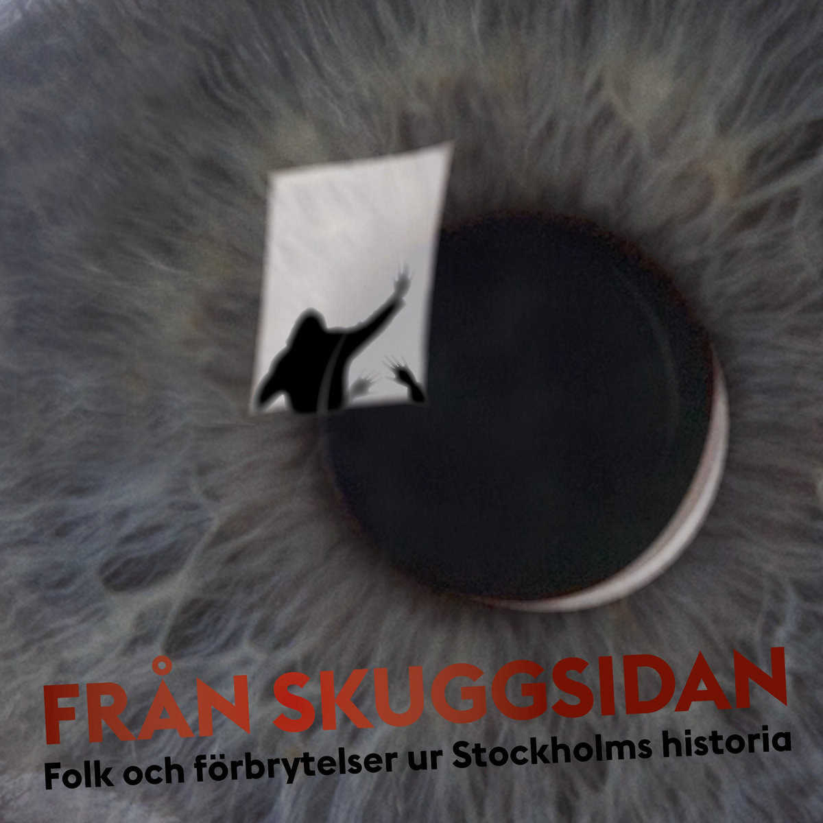 Lennartsson, Rebecka [red.] | Från skuggsidan : Folk och förbrytelser ur Stockholms historia