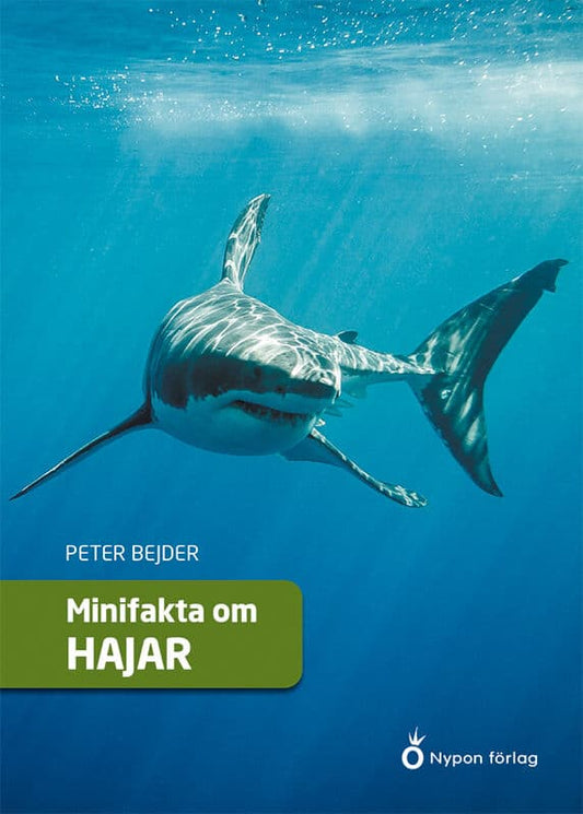 Bejder, Peter | Minifakta om hajar