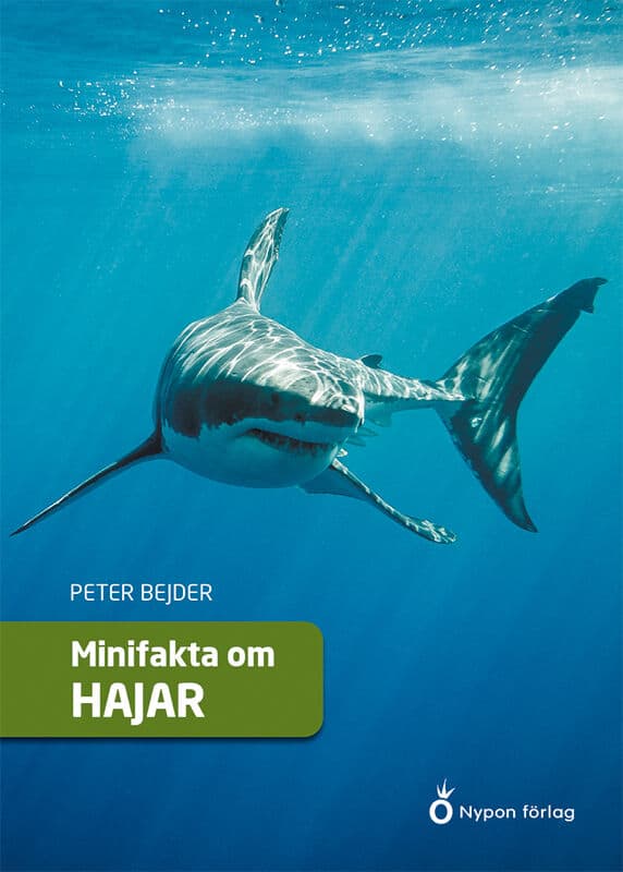 Bejder, Peter | Minifakta om hajar