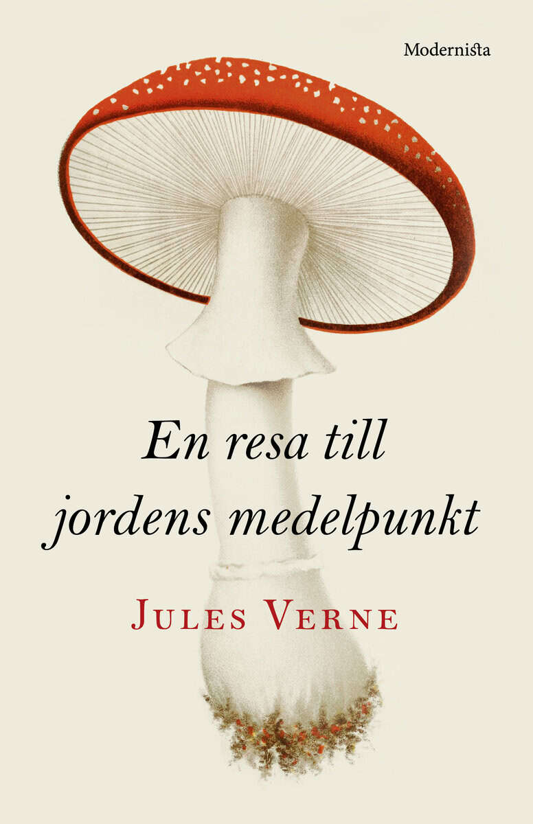 Verne, Jules | En resa till jordens medelpunkt