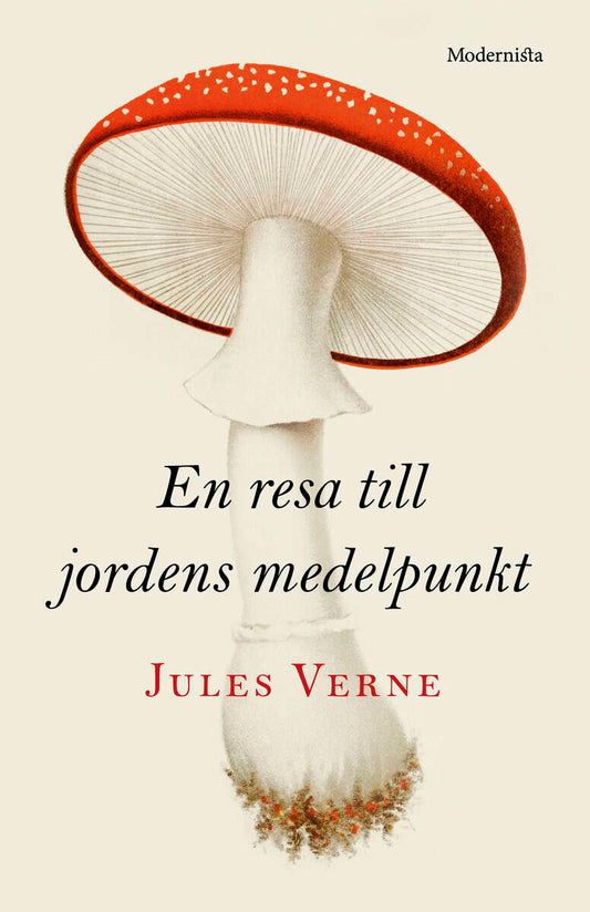 Verne, Jules | En resa till jordens medelpunkt