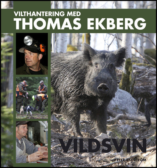 Ekeström, Peter| Ekberg, Thomas | Vilthantering med Thomas Ekberg : Vildsvin