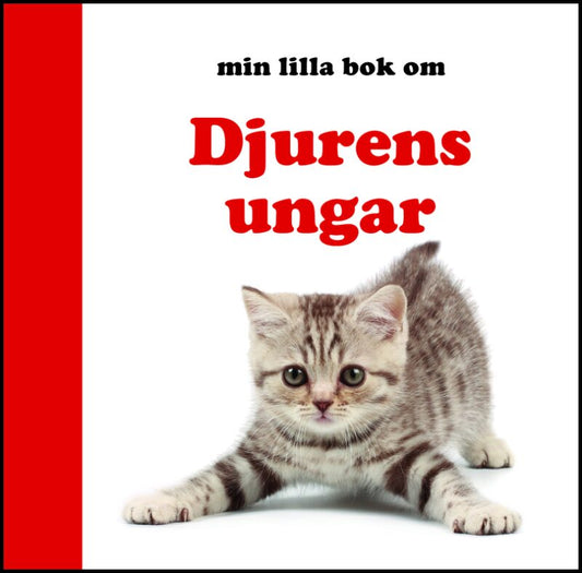 Min lilla bok om Djurens ungar