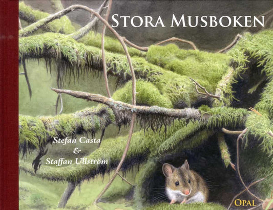 Casta, Stefan | Stora musboken