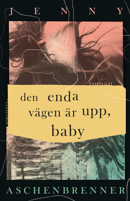 Aschenbrenner, Jenny | Den enda vägen är upp, baby