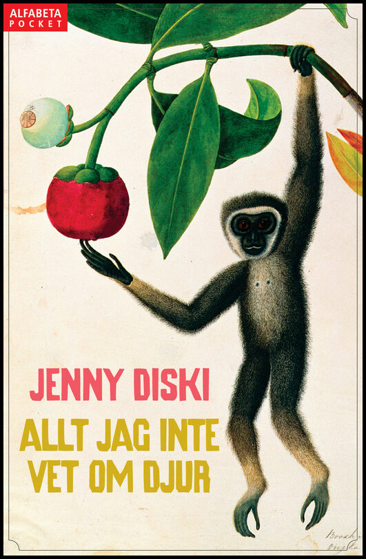 Diski, Jenny | Allt jag inte vet om djur