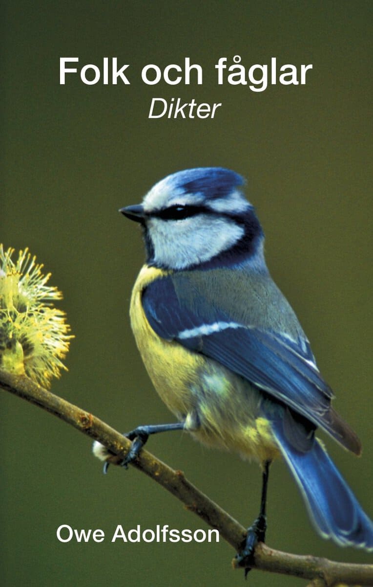 Adolfsson, Owe | Folk och fåglar