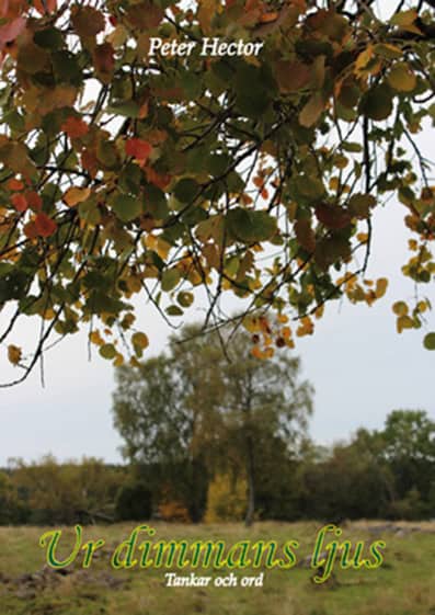 Hector, Peter | Ur dimmans ljus