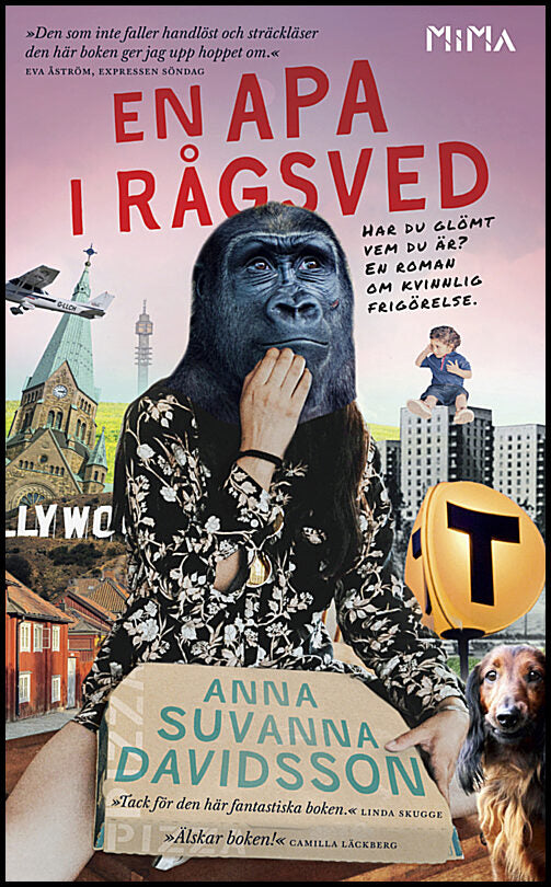 Davidsson, Anna Suvanna | En apa i Rågsved