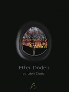 Denis, Léon | Efter döden : En framställning av andarnas lära
