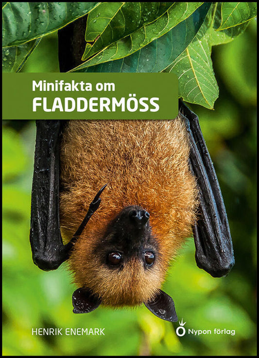 Enemark, Henrik | Minifakta om fladdermöss