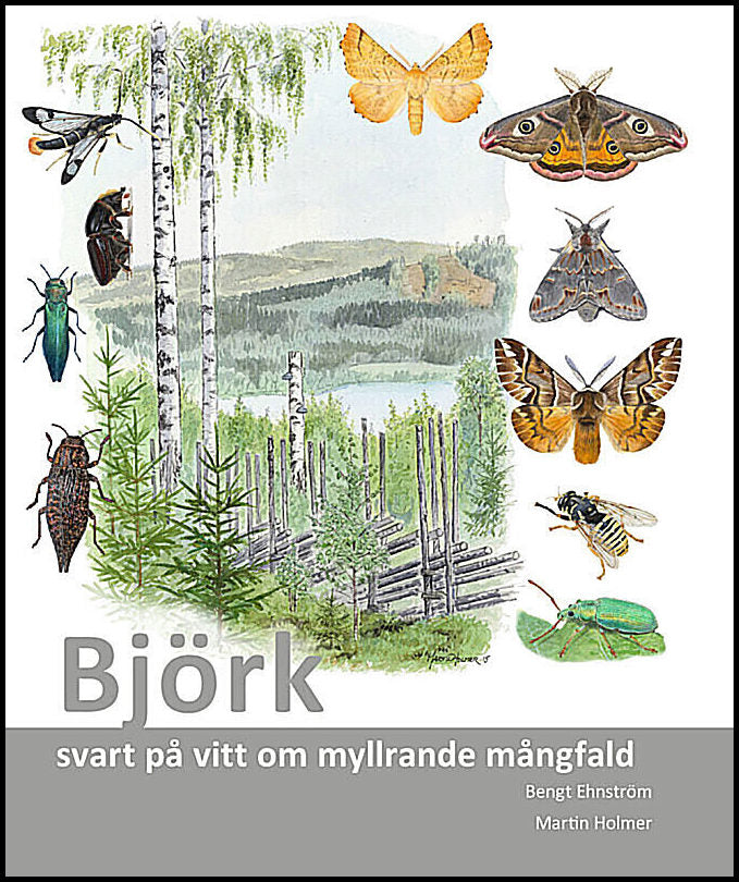 Ehnström, Bengt | Björk : Svart på vitt om myllrande mångfald