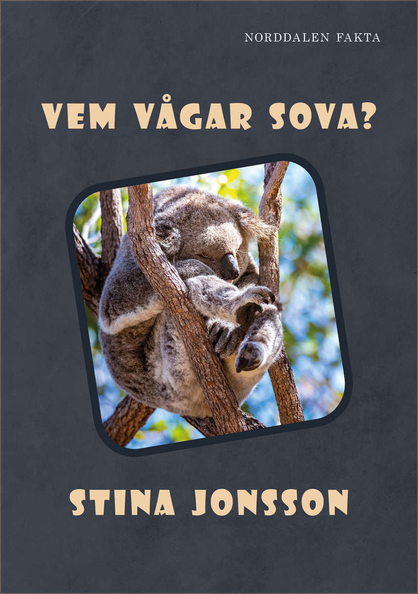 Jonsson, Stina | Vem vågar sova?