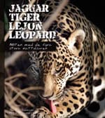 Fleischmann, Jan | Veneke, Maria | Jaguar, tiger, lejon, leopard : Möten med de fyra stora kattdjuren