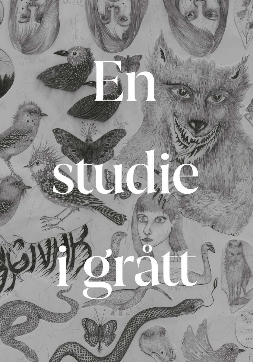 Persson, Ragnar | En studie i grått