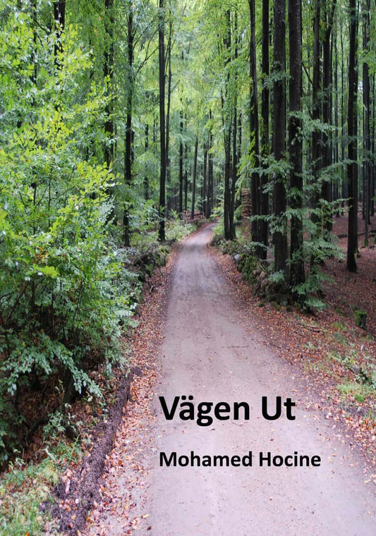 Hocine, Mohamed | Vägen ut