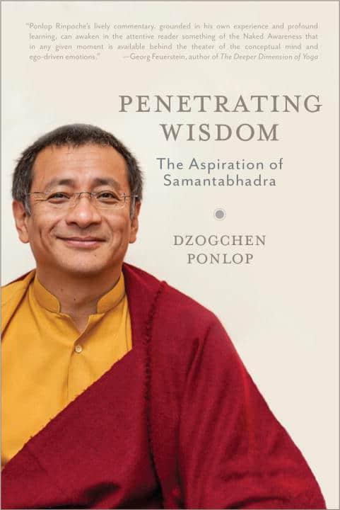 Dzogchen Ponlop | Penetrating wisdom
