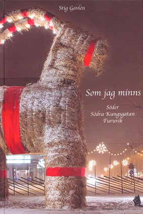 Gavlén, Stig | Som jag minns. Söder, Södra Kungsgatan, Furuvik.