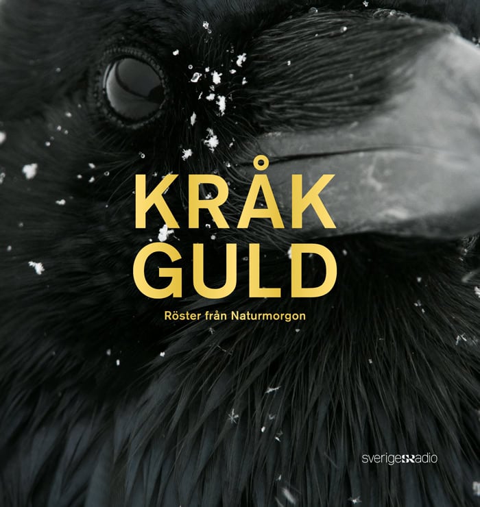Willén, Lasse | Danielson, Jan | Henkow, Lisa | Näslund, Lena | Berntson Djurvall, Jenny | Pirzadeh, Zinat | Kohlström, ...