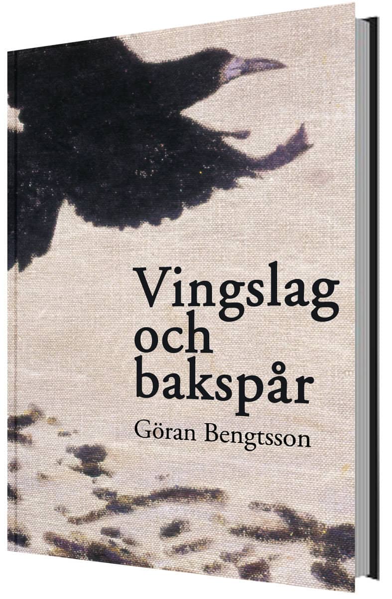 Bengtsson, Göran | Vingslag och bakspår