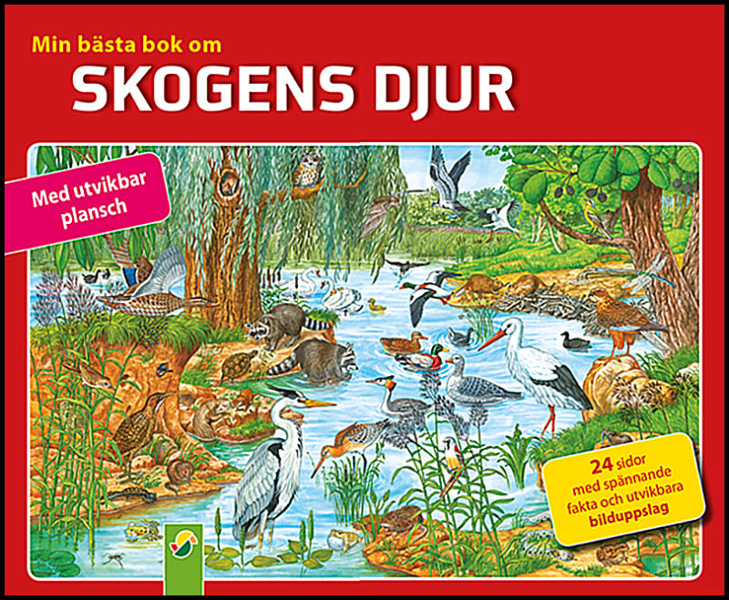 Menzel, Bettina | Min bästa bok om skogens djur