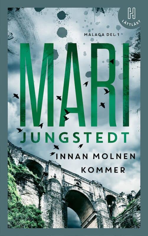 Jungstedt, Mari | Innan molnen kommer (lättläst)