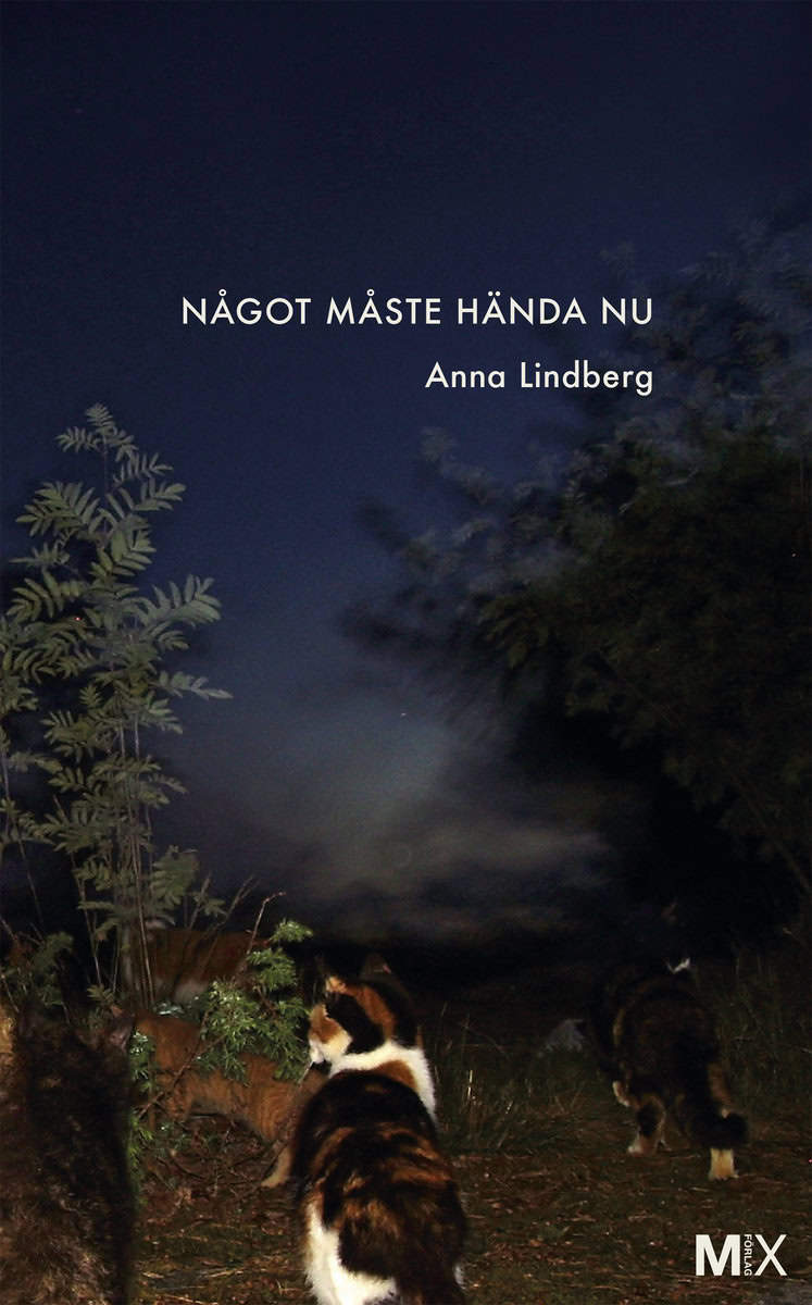 Lindberg, Anna | Något måste hända nu